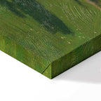 Monet Woman in the Garden Classic Canvas Print