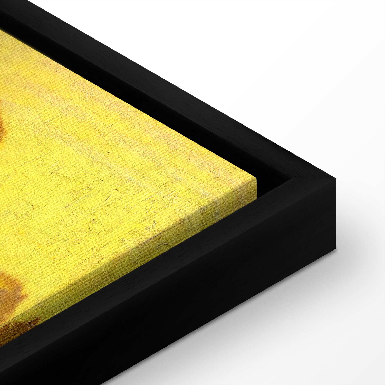 Sunflower Still Life Classic Canvas Print