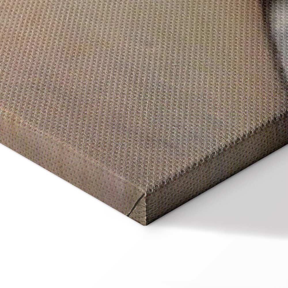 Courbet The Origin of the World Classic Canvas Print