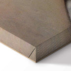 Courbet The Origin of the World Classic Canvas Print