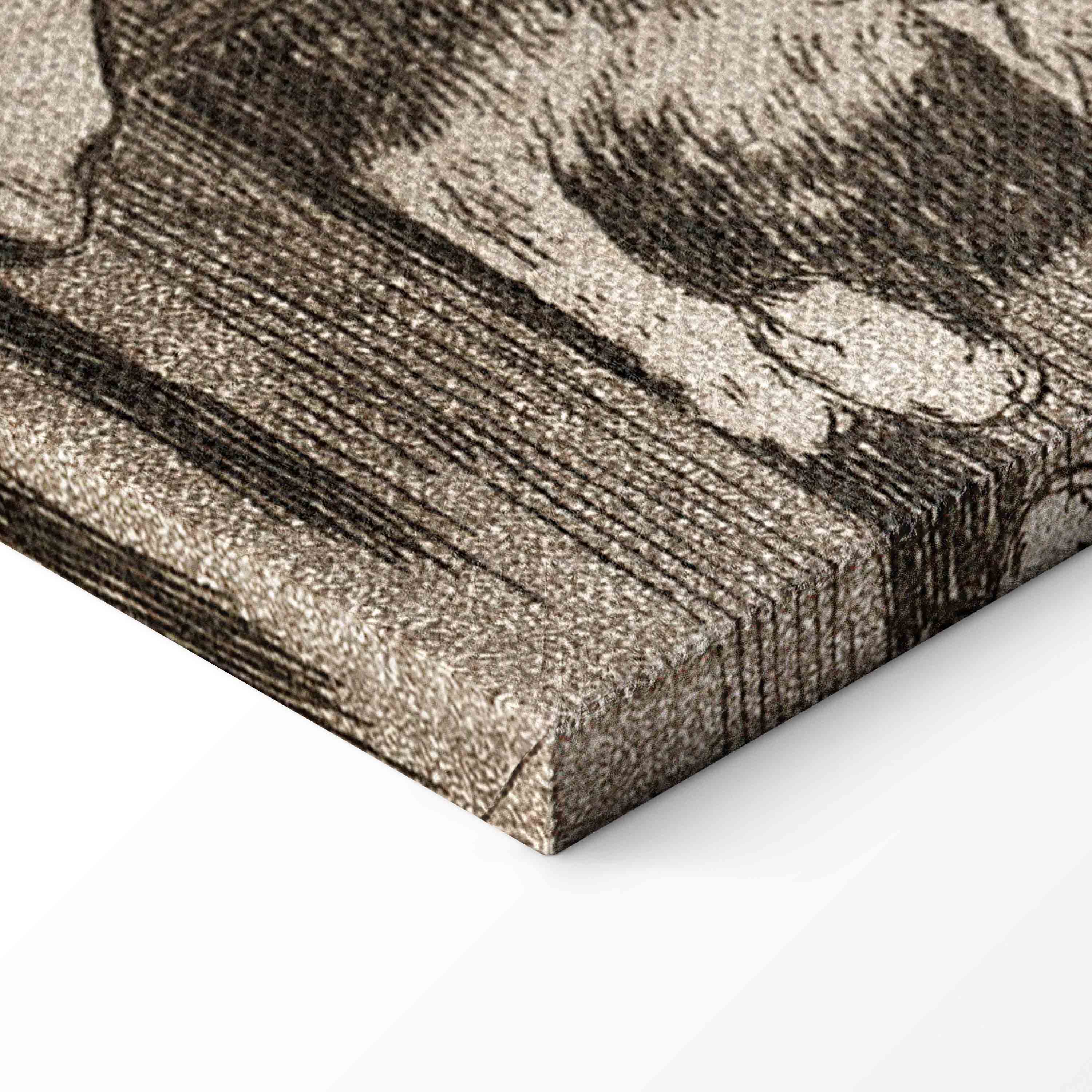 Goya Sleep of Reason Monsters Classic Canvas Print