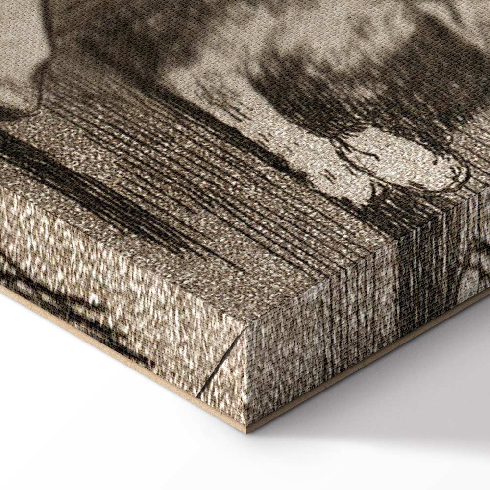 Goya Sleep of Reason Monsters Classic Canvas Print