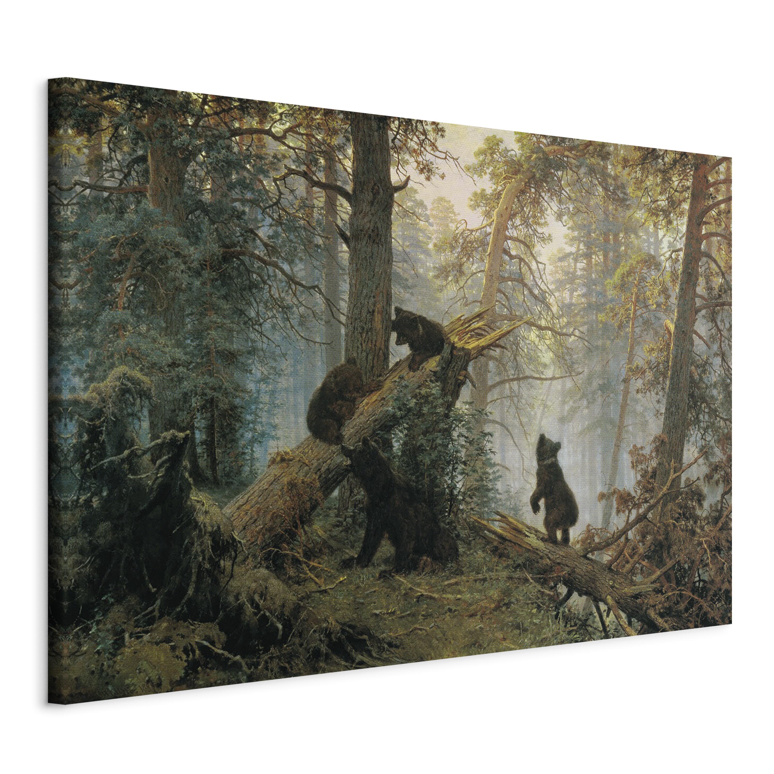 Canvas Print Morning in a Pine Forest