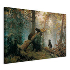 Canvas Print Morning in a Pine Forest