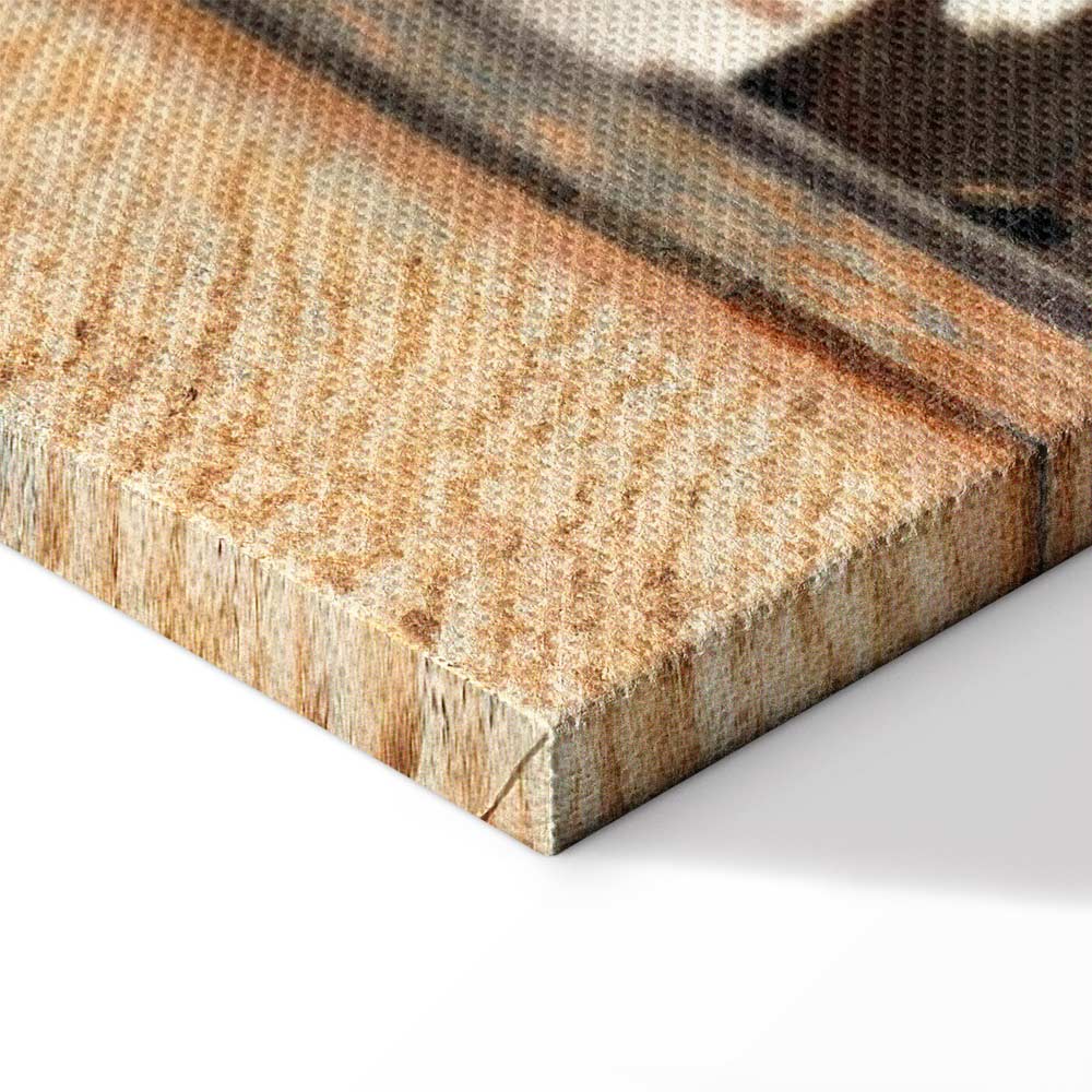 Vermeer The Little Street Classic Canvas Print