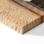 Vermeer The Little Street Classic Canvas Print