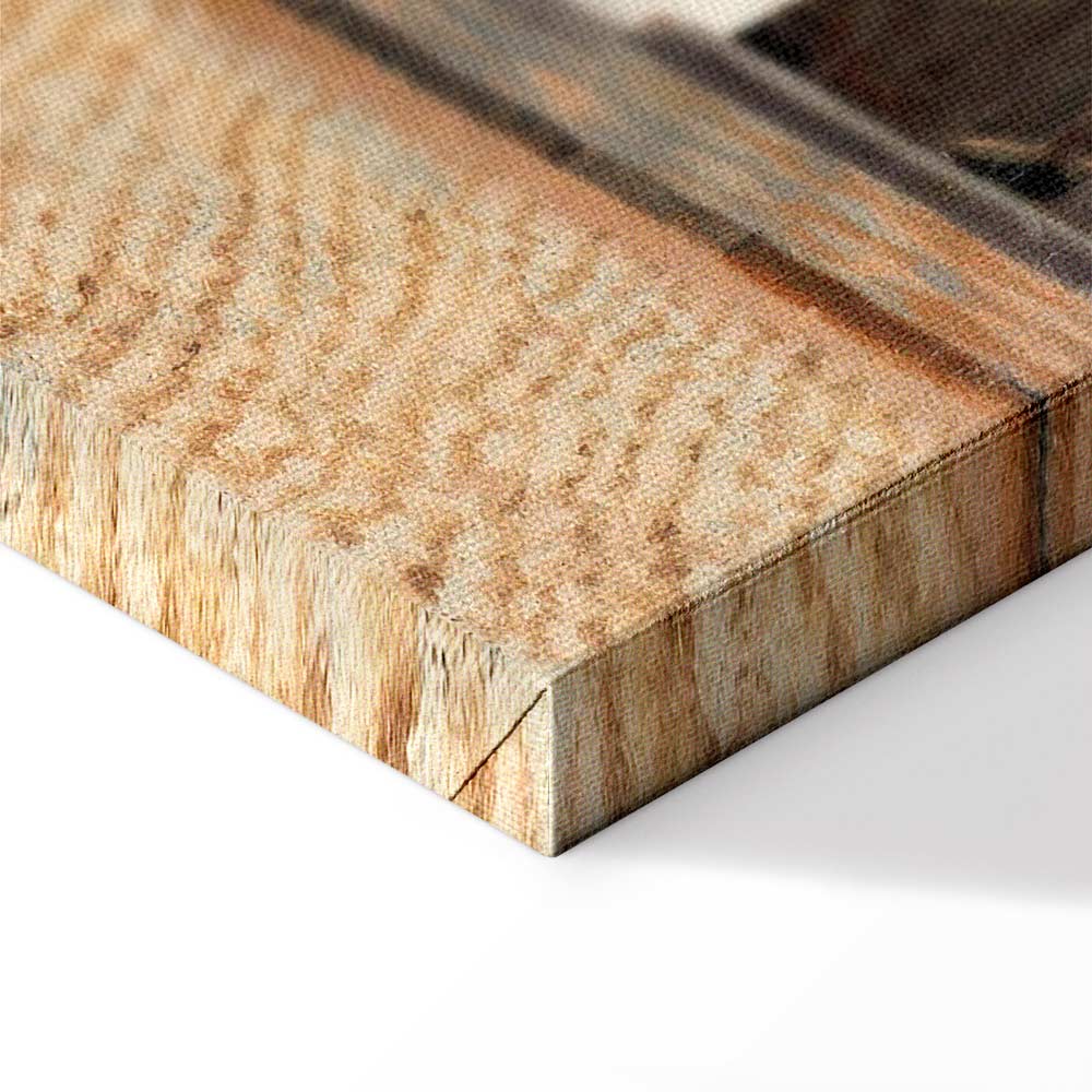 Vermeer The Little Street Classic Canvas Print