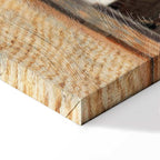 Vermeer The Little Street Classic Canvas Print