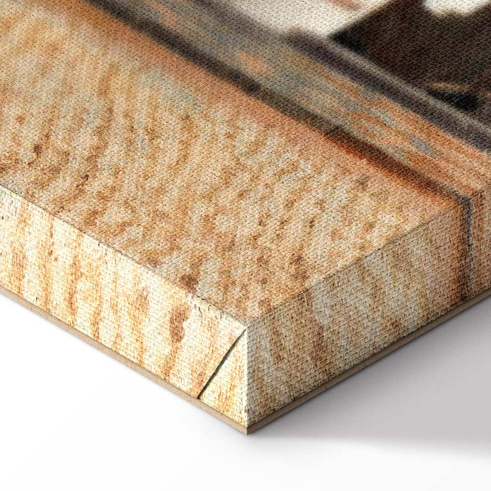 Vermeer The Little Street Classic Canvas Print