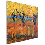 Canvas Print - Willows at Sunset