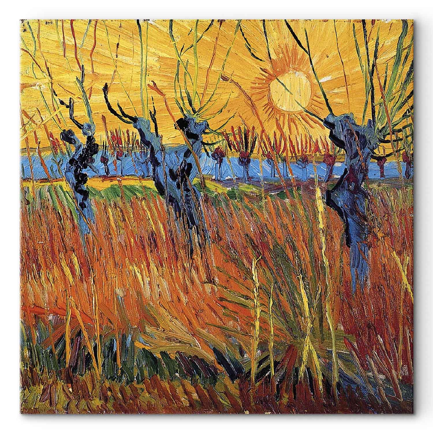 Willows at Sunset Landscape Canvas Print