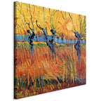 Canvas Print - Willows at Sunset