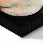 Klimt Goldfish Abstract Woman Canvas Print