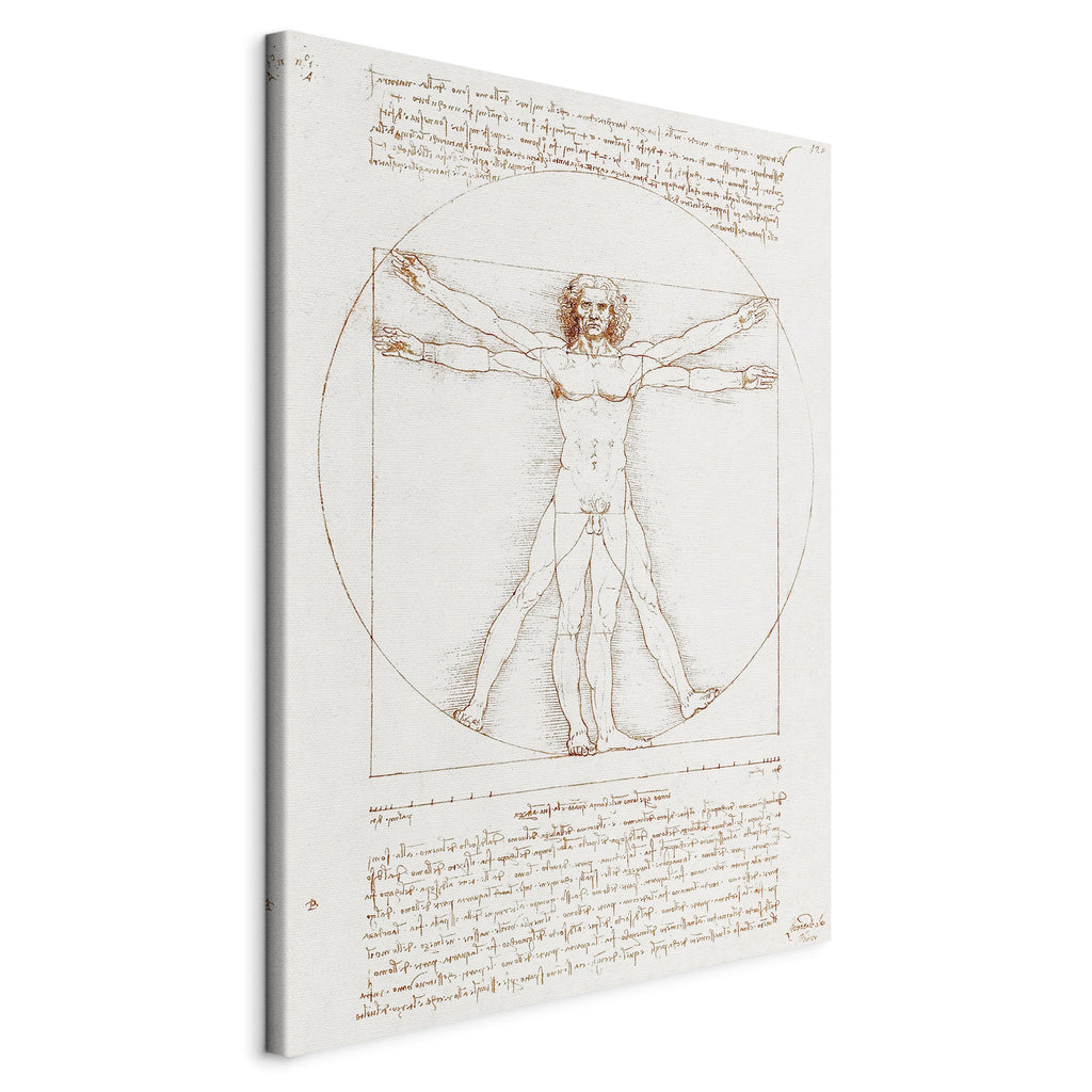 Canvas Print - Vitruvian Man: Proportions of the Human Body