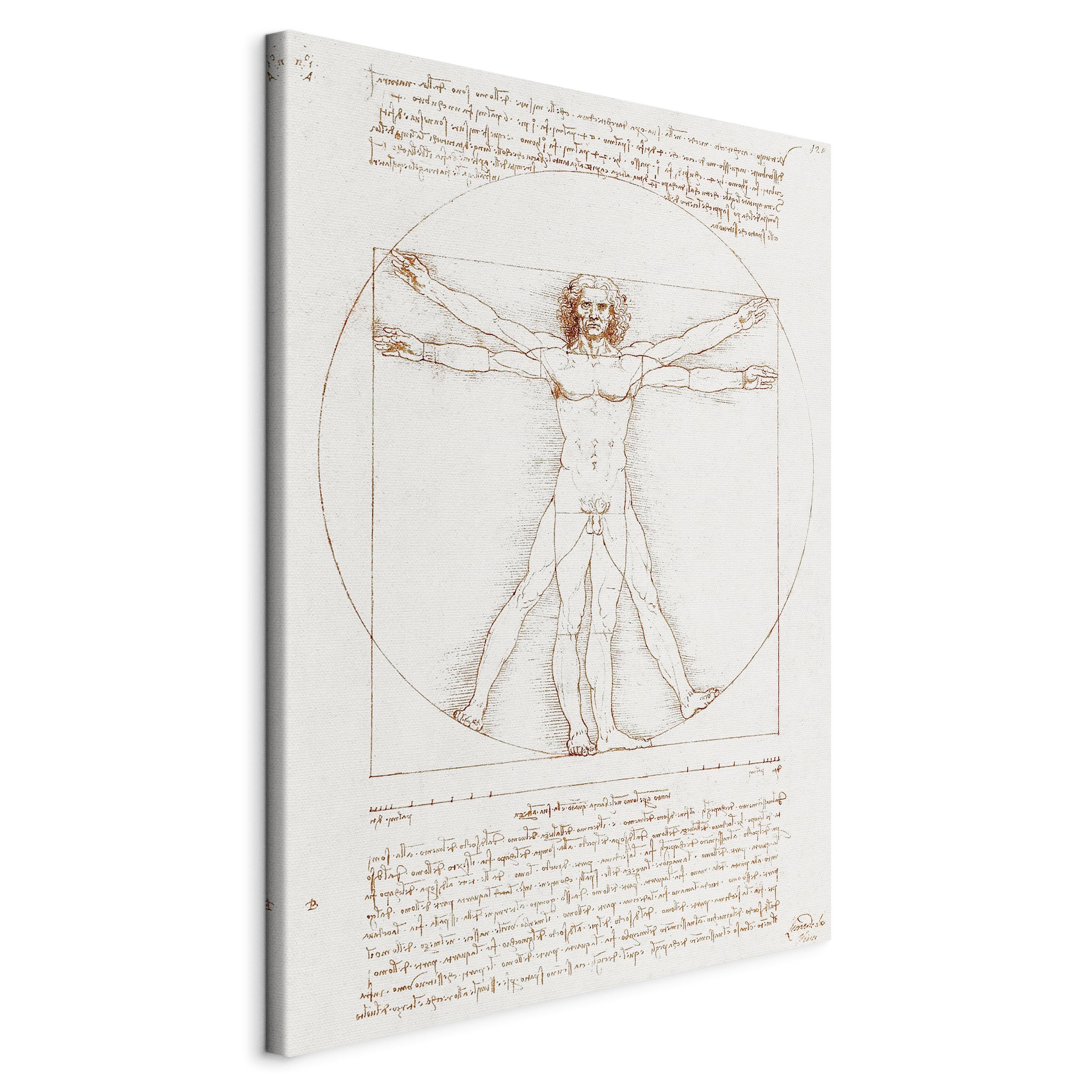 Canvas Print - Vitruvian Man: Proportions of the Human Body