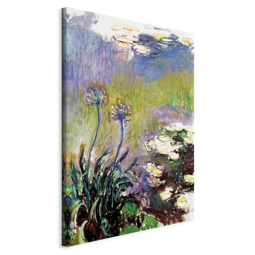 Canvas Print Agapanthus