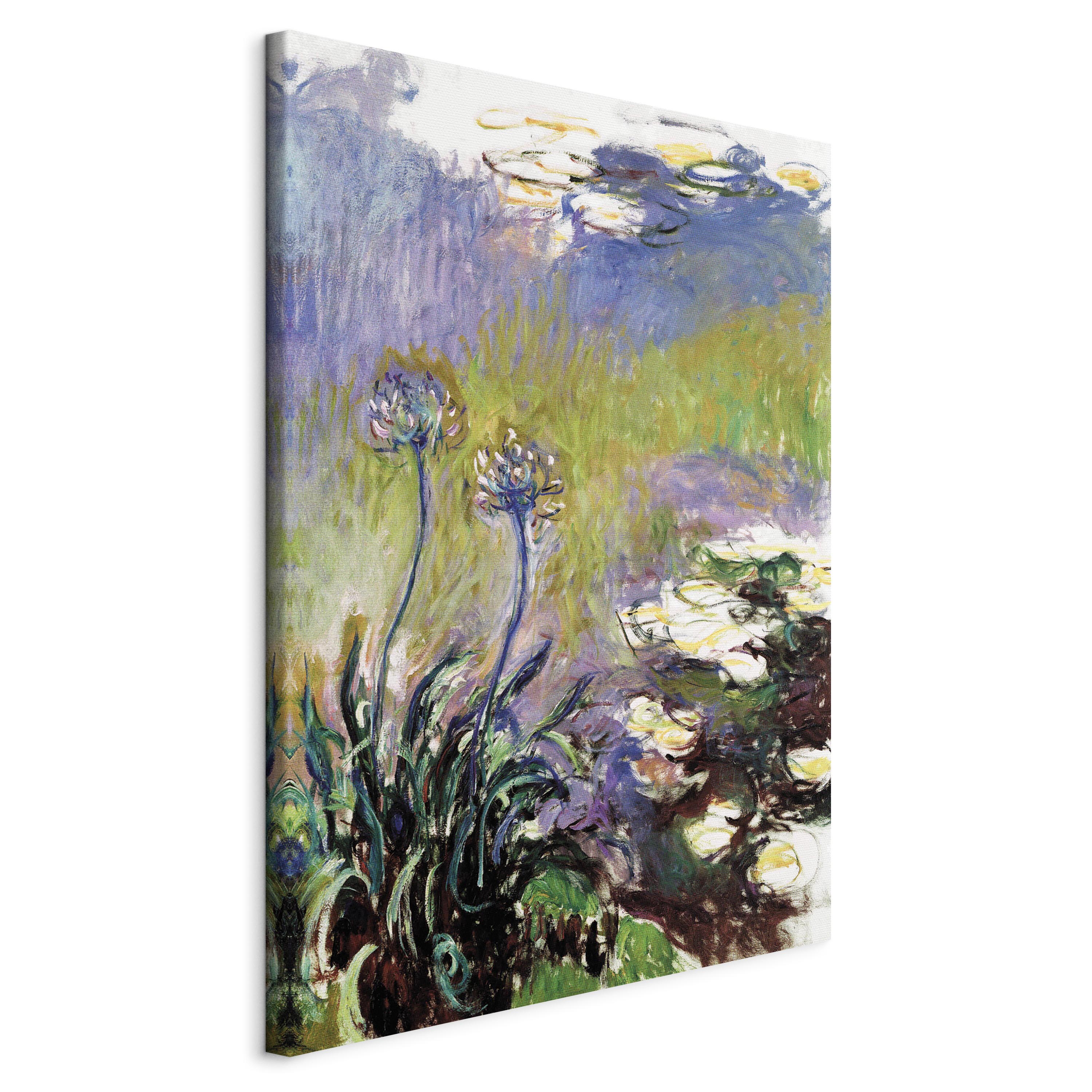 Canvas Print Agapanthus
