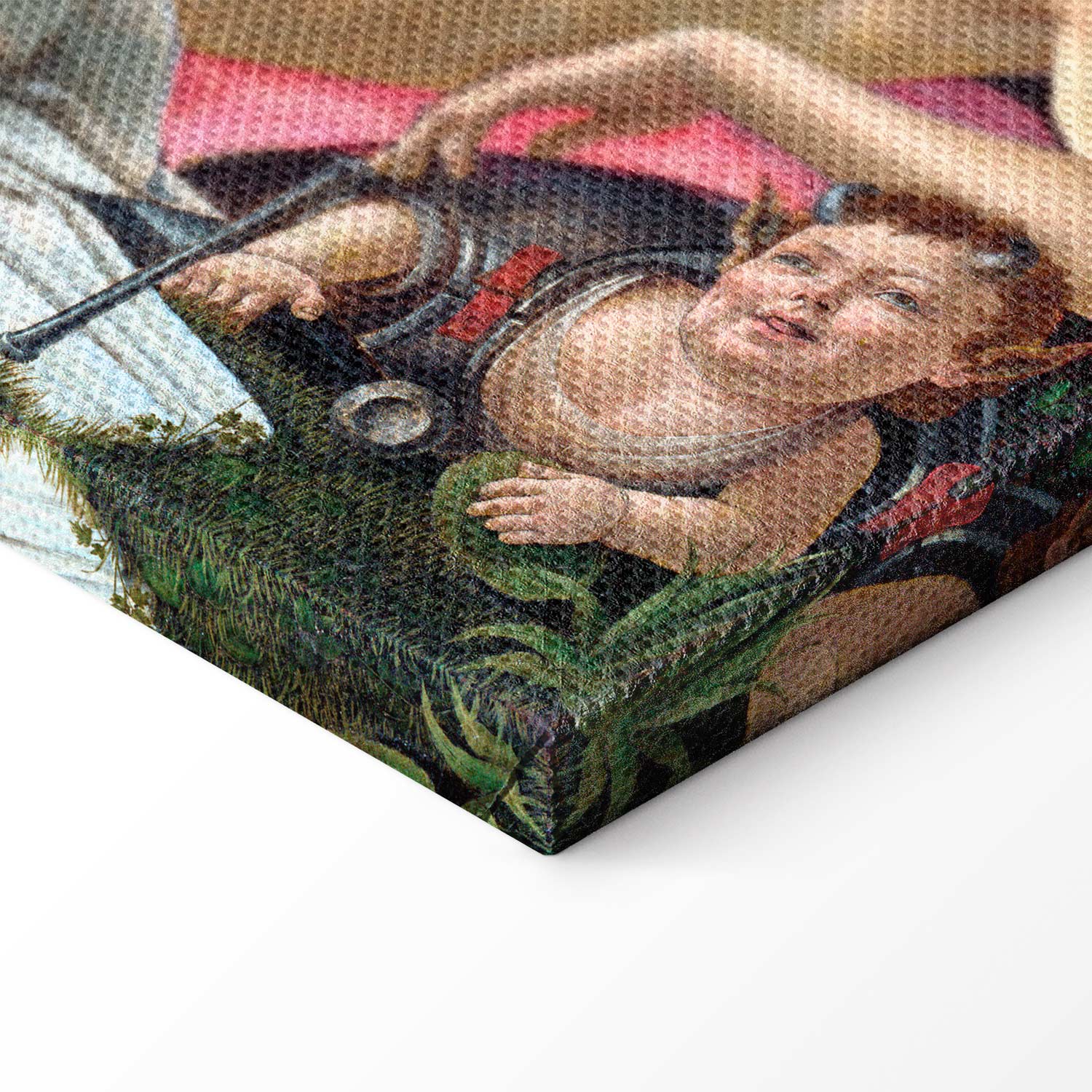 Venus and Mars Renaissance Canvas Print