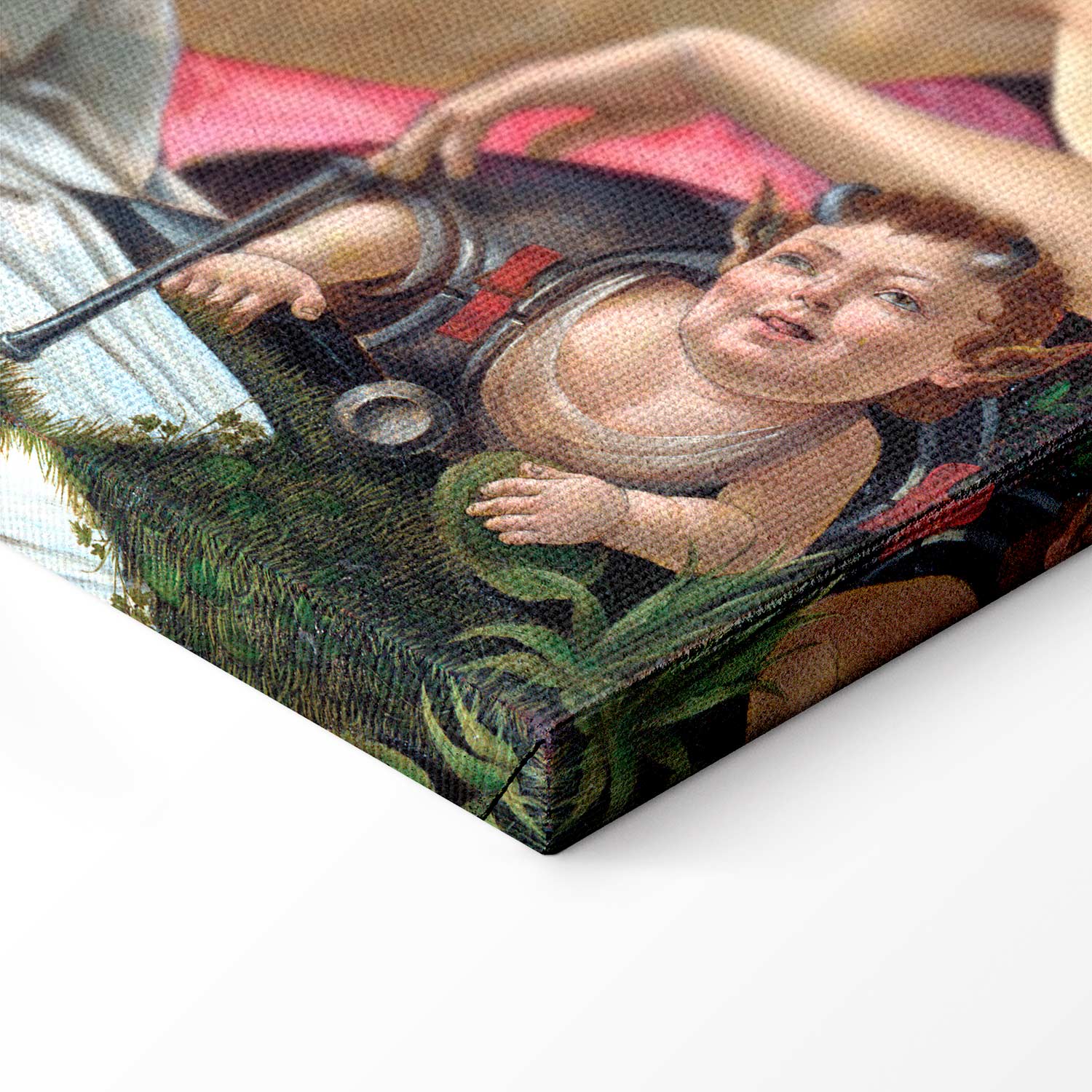 Venus and Mars Renaissance Canvas Print