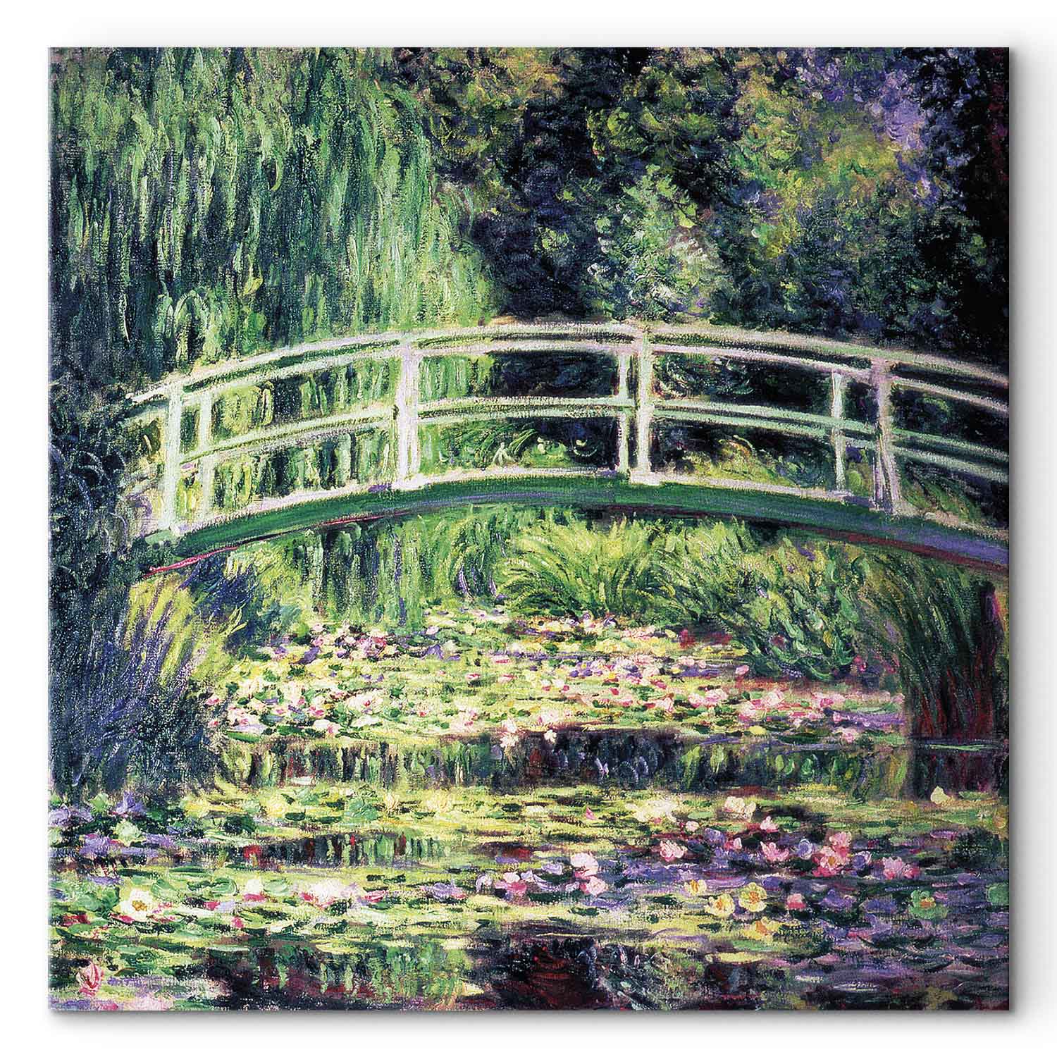Water Lily Pond Classic Canvas Print