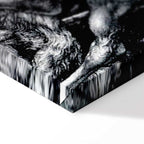 Knight Death and the Devil Classic Canvas Print