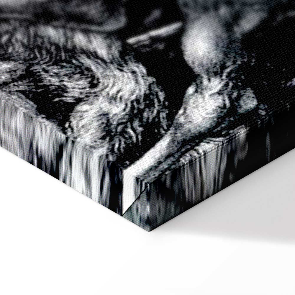 Knight Death and the Devil Classic Canvas Print