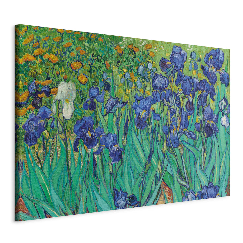 Canvas Print Irises