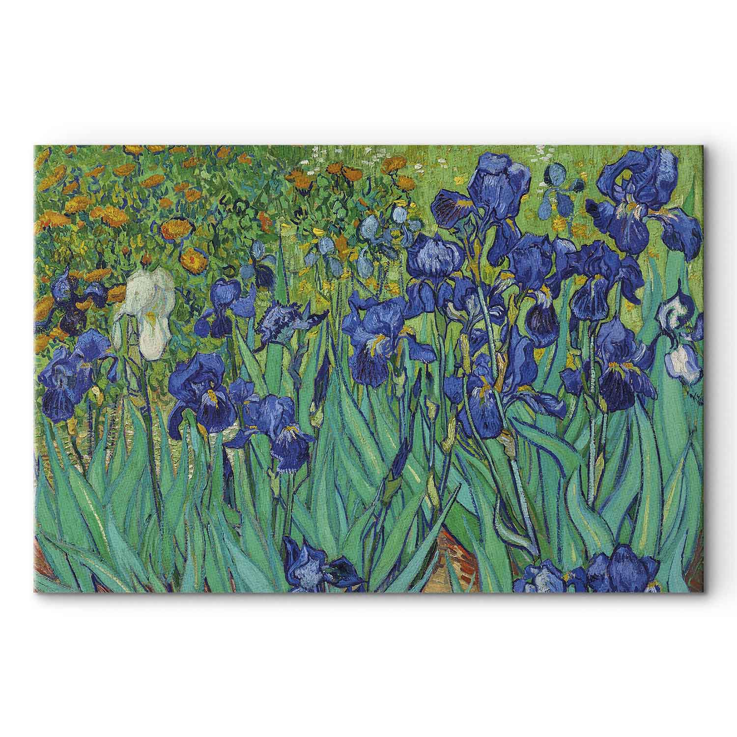 Van Gogh Irises Floral Classic Canvas Print
