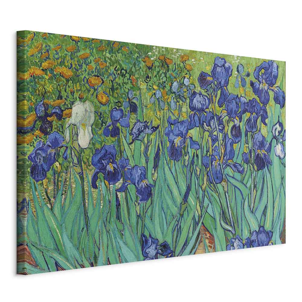 Canvas Print Irises