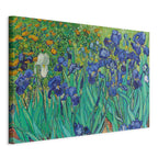 Canvas Print Irises