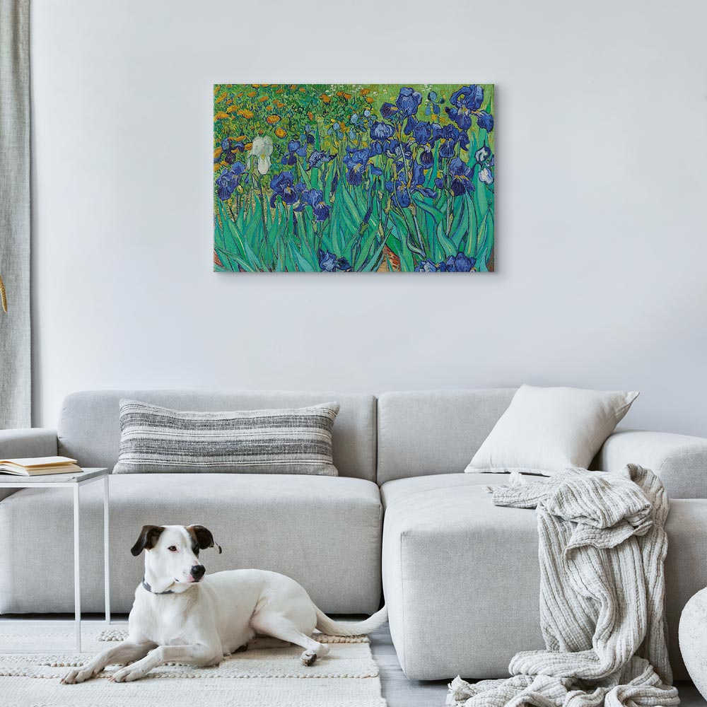 Canvas Print Irises