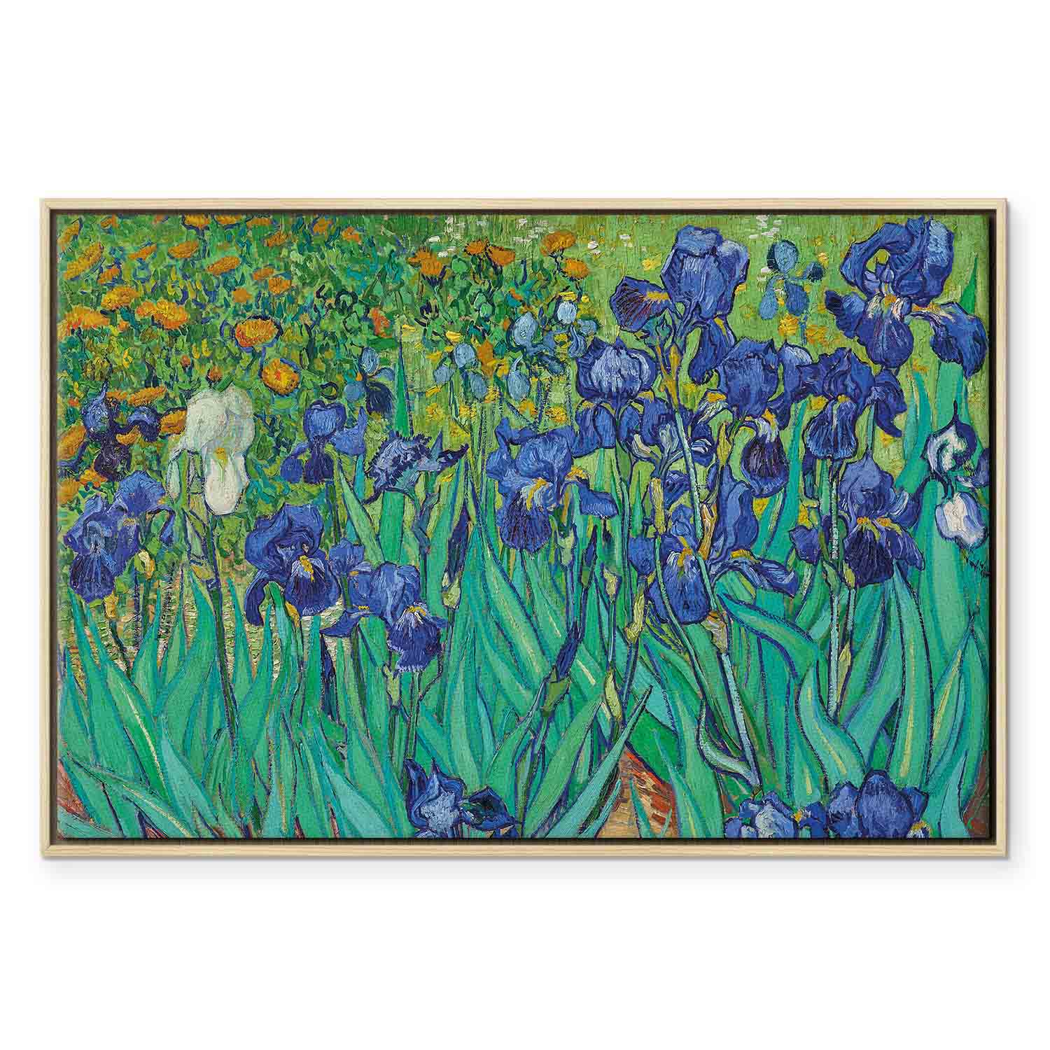 Van Gogh Irises Floral Classic Canvas Print