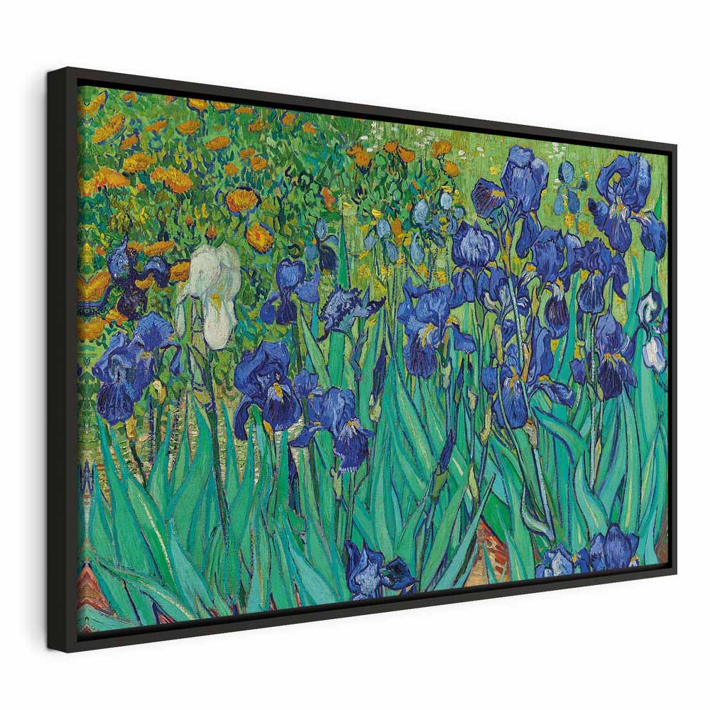 Canvas Print Irises