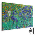 Van Gogh Irises Floral Classic Canvas Print