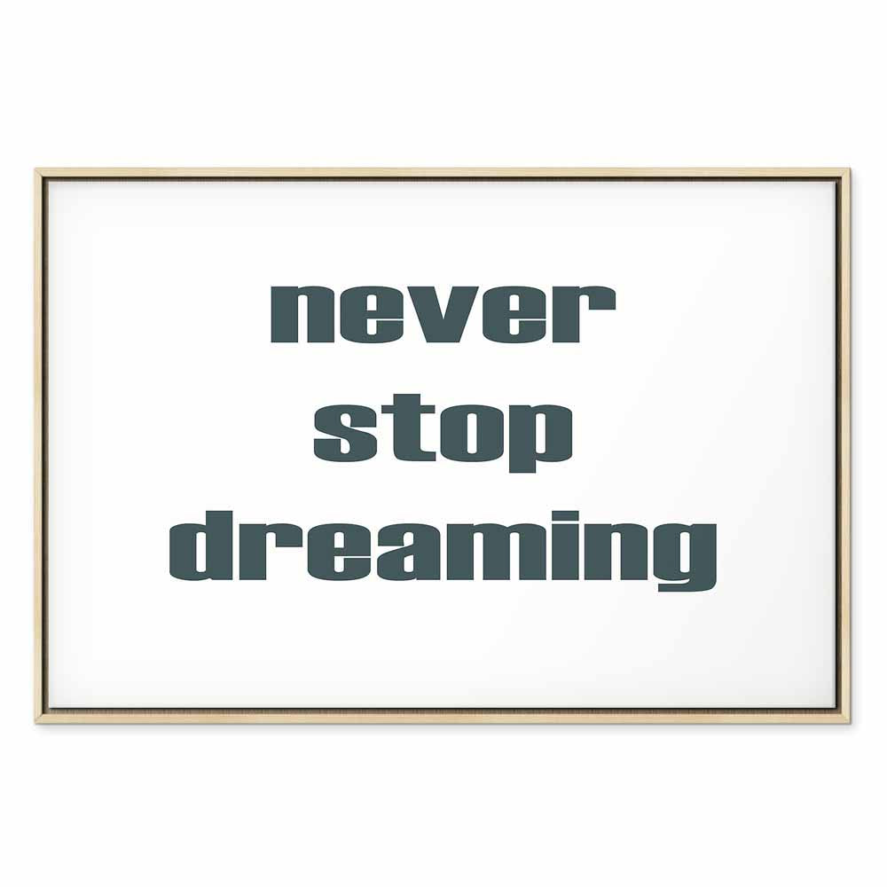 Never Stop Dreaming Quote Text Canvas Print