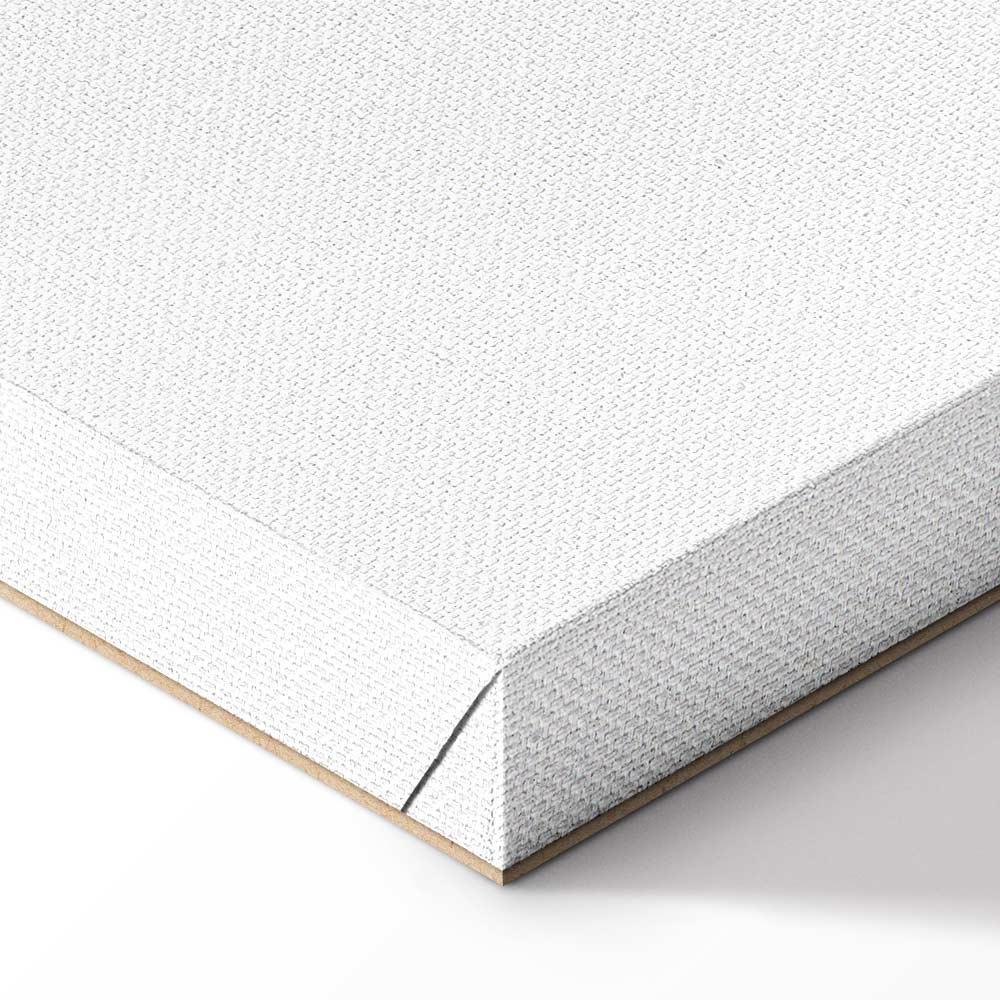 Why Not? Text Minimalist Canvas Print