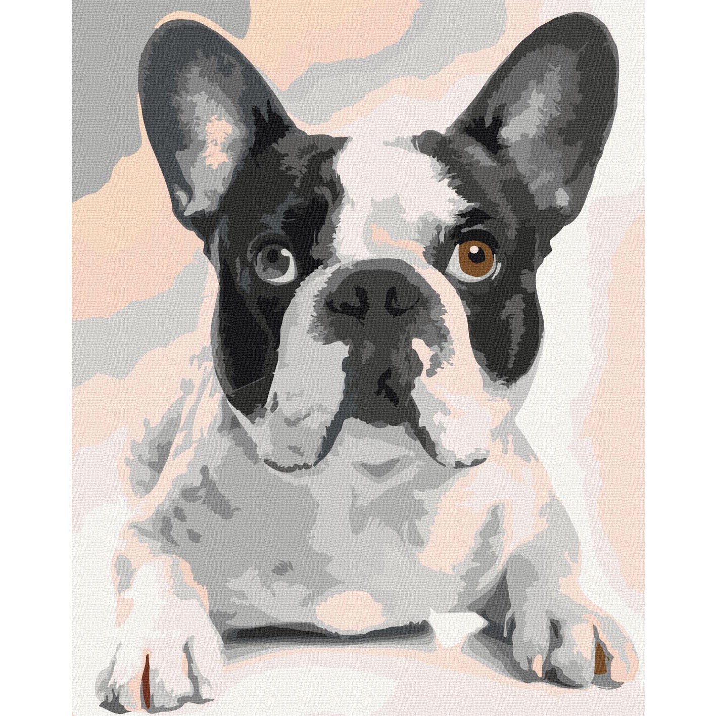 French Bulldog Animals Paint by Numbers Kit