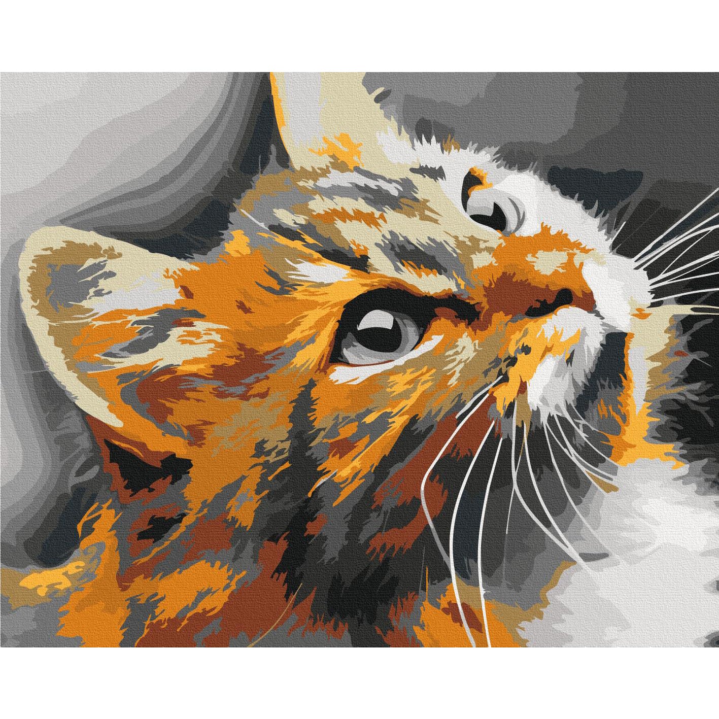 Red Cat Charming Paint by Numbers Kit