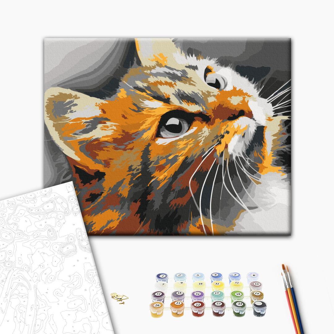 Red Cat Charming Paint by Numbers Kit