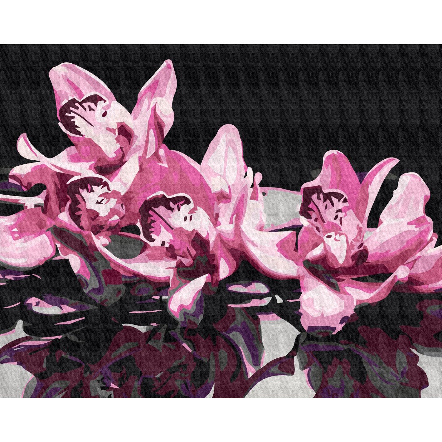 Pink Orchid Black Background Paint by Numbers