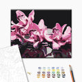 Pink Orchid Black Background Paint by Numbers