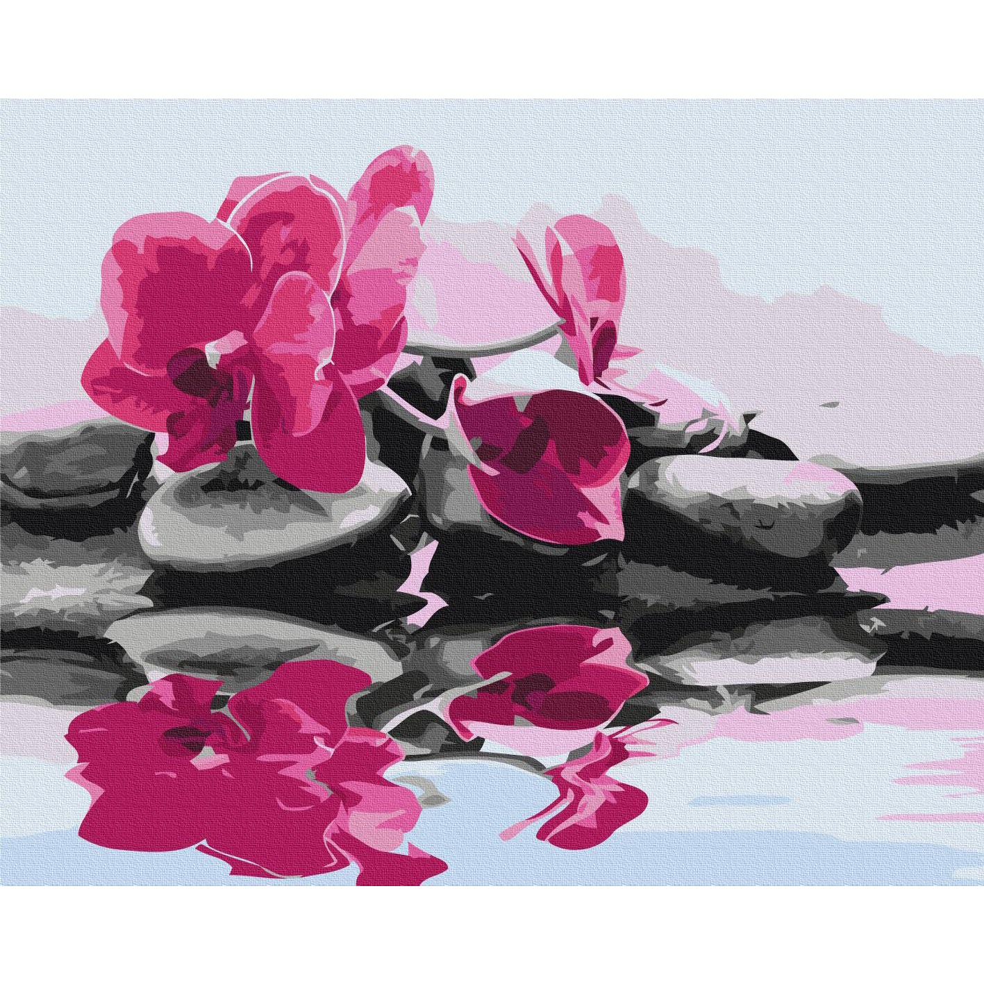 Orchid and Zen Stones Nature Paint by Numbers