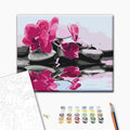 Orchid and Zen Stones Nature Paint by Numbers