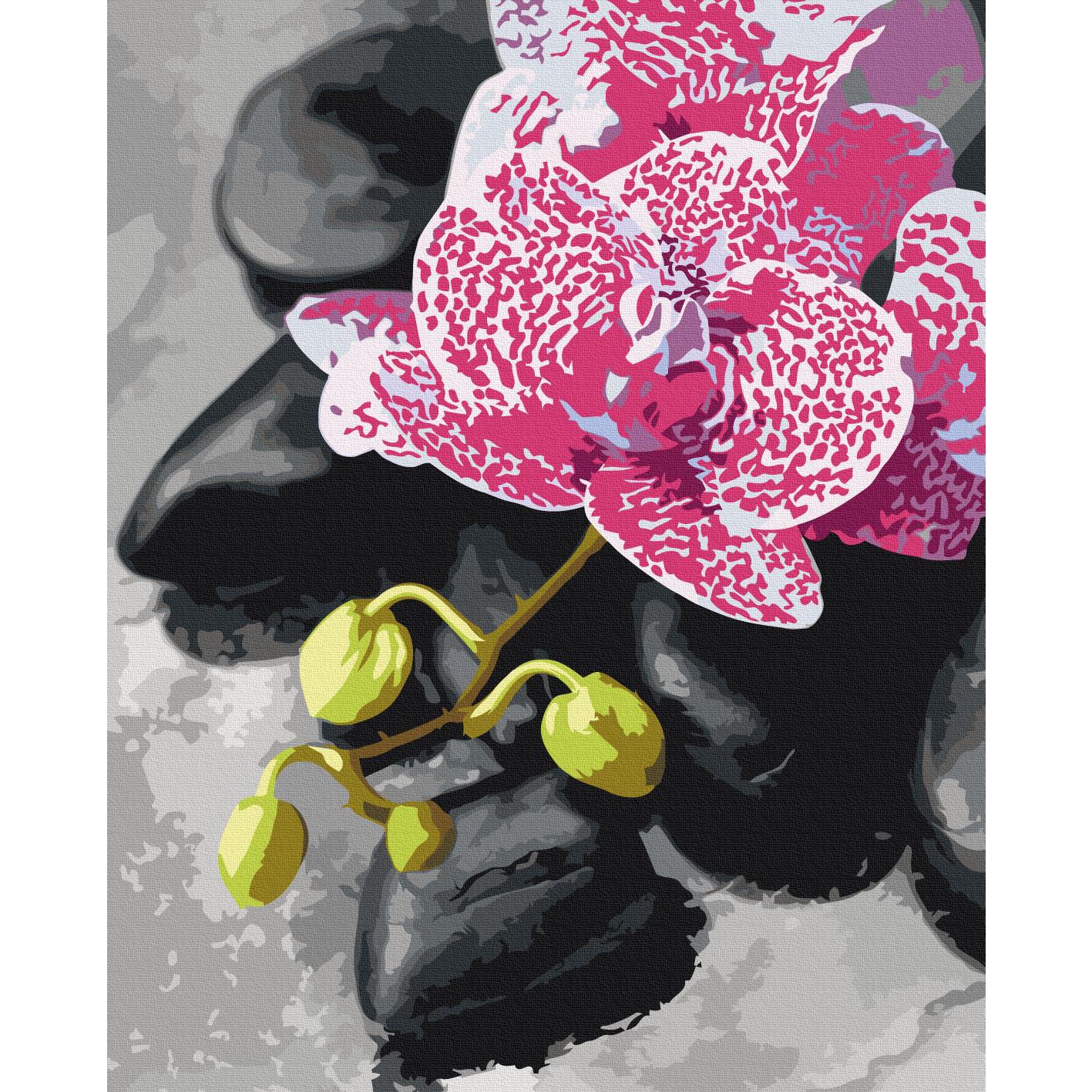 Pink Orchid Floral Paint by Numbers Kit