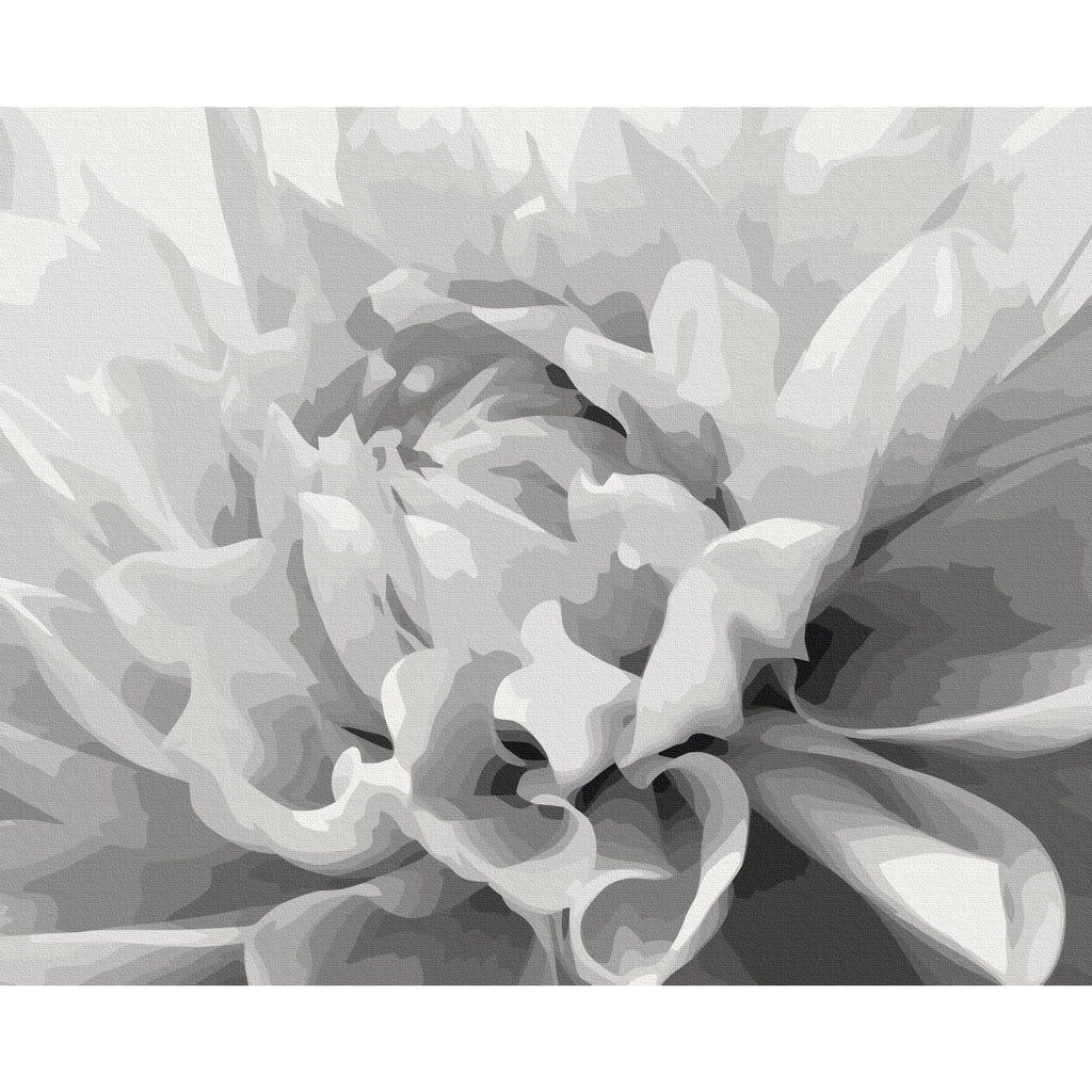 Black & White Flower Paint by Numbers Kit