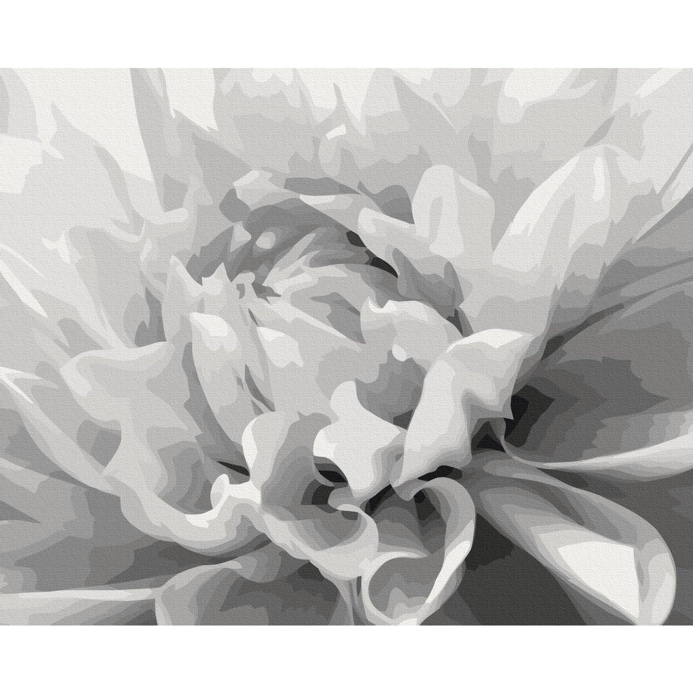 Black & White Flower Paint by Numbers Kit