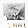 Black & White Flower Paint by Numbers Kit