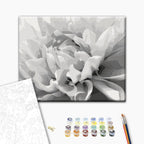 Black & White Flower Paint by Numbers Kit