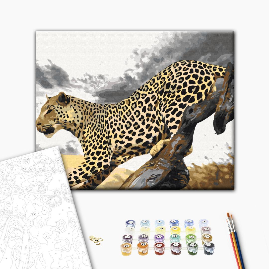 Cheetah Africa Sky Paint by Numbers