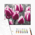Tulip Field Floral Paint by Numbers Kit